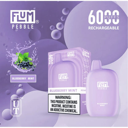 FLUM PEBBLE BLUEBERRY MINT | PRICE POINT NY