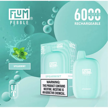 FLUM PEBBLE SPEARMINT | PRICE POINT NY